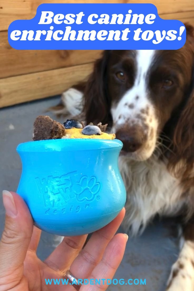 Benefits of Slinky Dog Toys for Canine Mental & Physical Stimulation